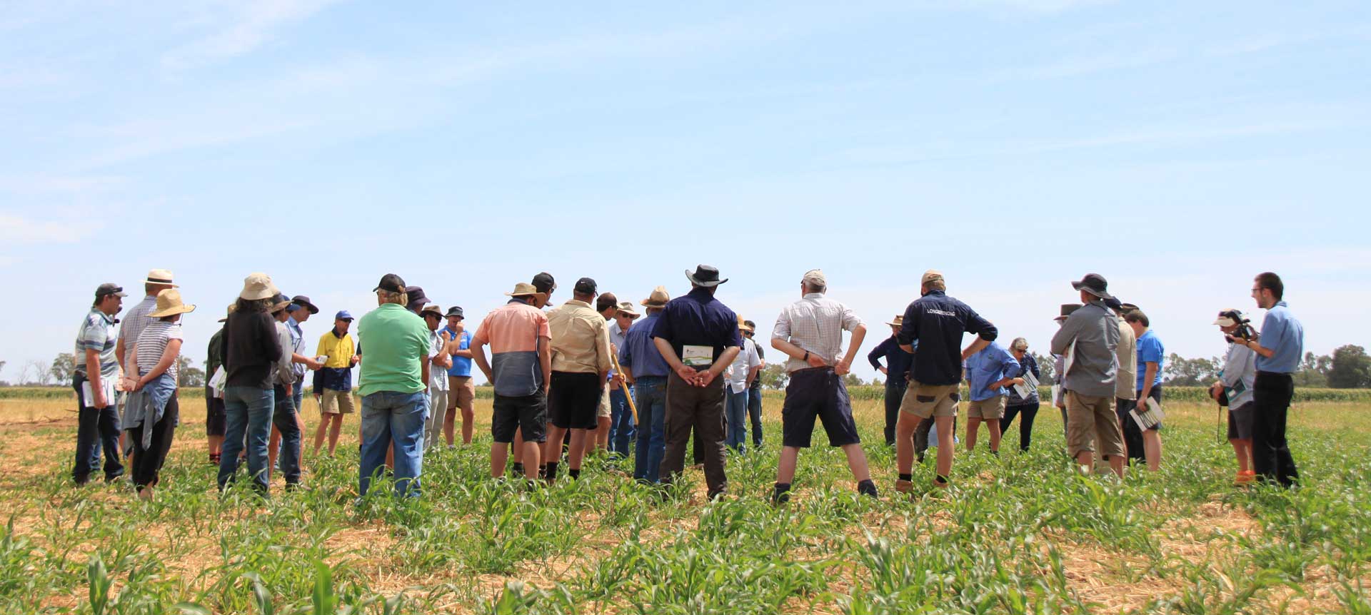 farmers in paddock at cover cropping event