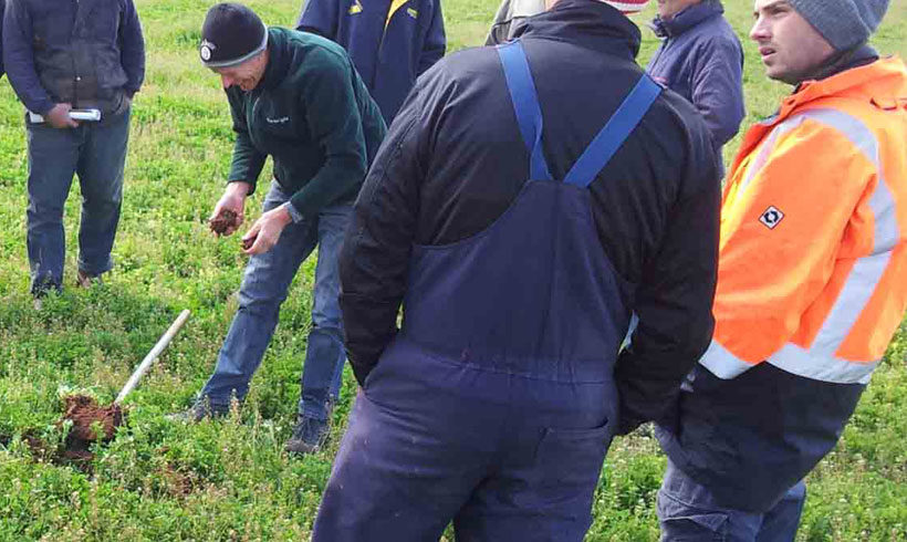 farm forum in paddock