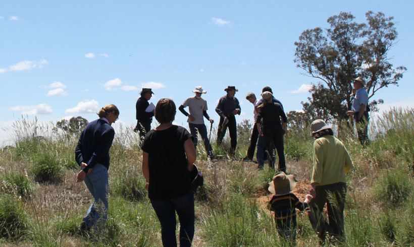people enjoying outdoors